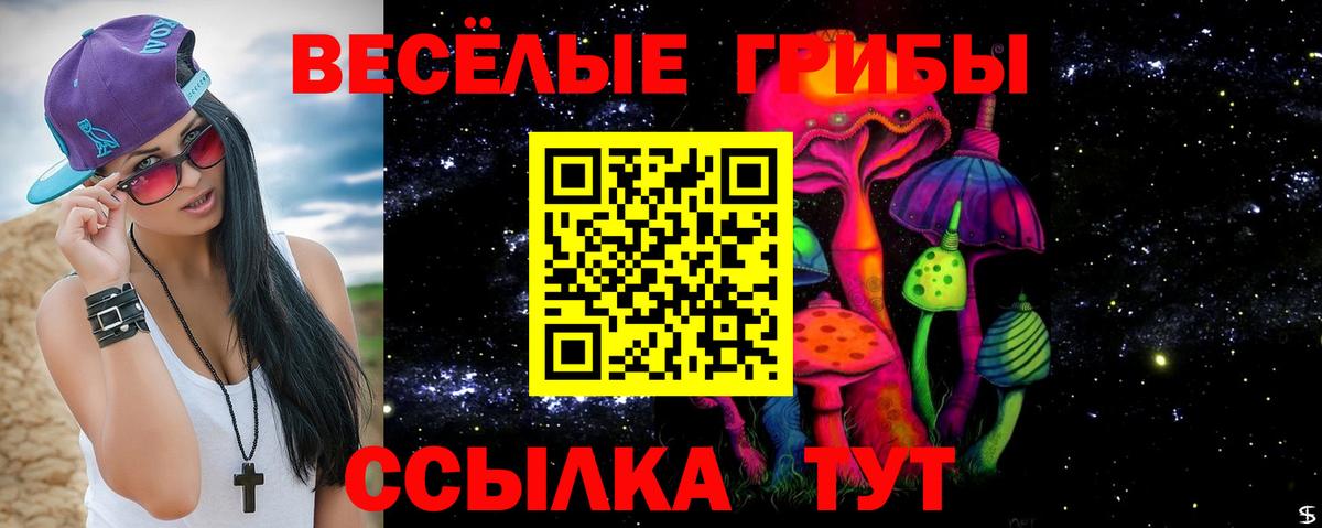 Нефтекамск  Псилоцибиновые грибы Psilocybe  Вход с VPN  Галлюциногенные грибы Psilocybe 